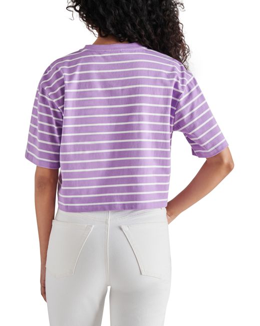 Steve Madden Purple Rugby Stripe Cotton Crop T-shirt