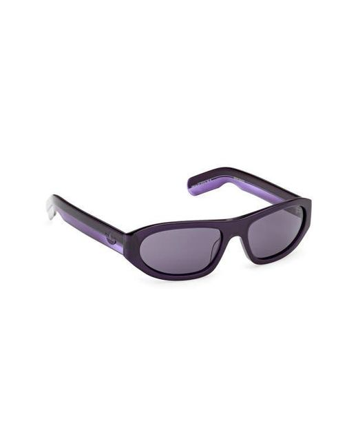 Adidas Purple Oval Sunglasses for men