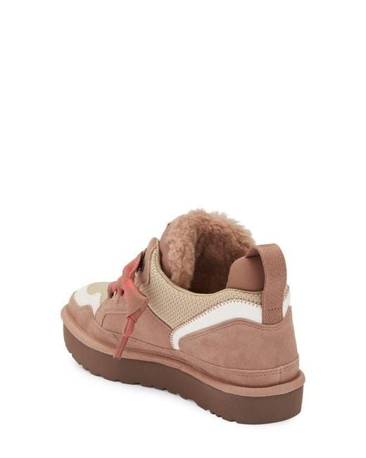 Ugg Brown Lowmel Sneaker