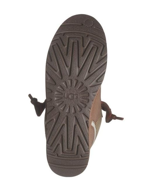 Ugg Brown Lowmel Sneaker