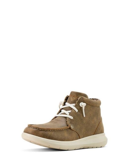 Ariat Brown Hilo High Top Sneaker