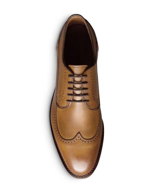 Allen Edmonds Brown Winston Wingtip Derby for men