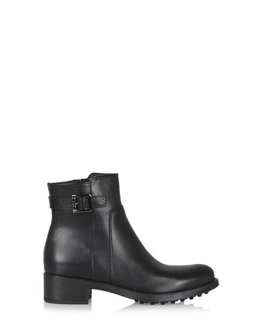 La Canadienne Waterproof Leather Shelby Ankle Booties in Brown Lyst