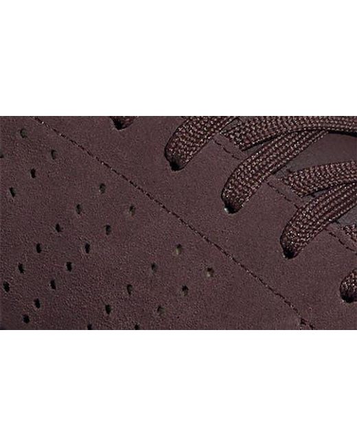 Adidas Brown Advantage 2.0 Low Top Sneaker for men