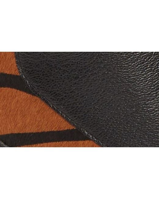 Linea Paolo Brown Filipa Ii Wedge Sneaker Bootie
