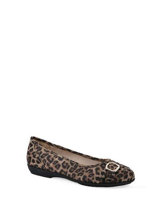 White Mountain Black Calming Buckle Strap Flat