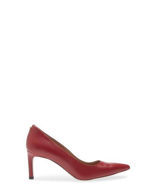 Boss Red Janet Pointed Toe Pump