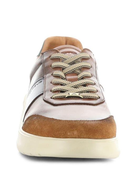 Ambitious Brown 12981B Low Top Sneaker for men