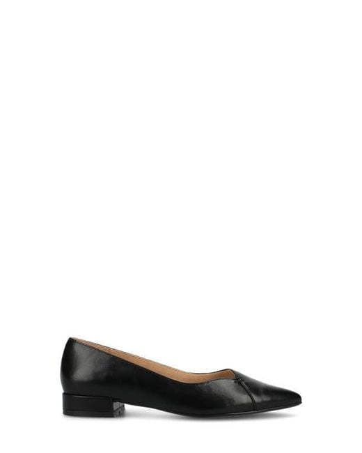Journee Collection Black Carmin Pointed Toe Flat