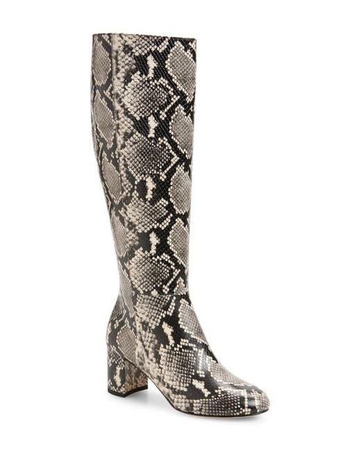 Stuart Weitzman White Celina Zip Boot