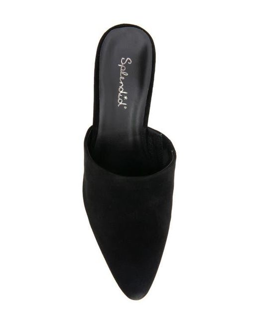 Splendid Black Laylai Pointed Toe Mule