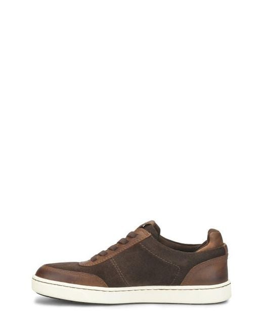 Børn Brown Adams Sneaker for men