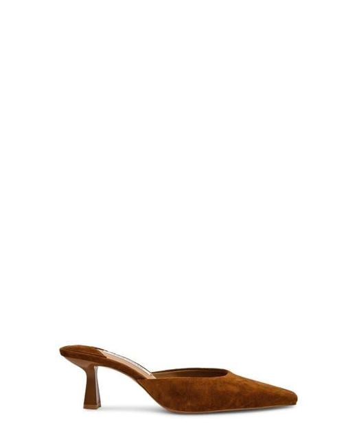 Steve Madden Brown Alyse Mule