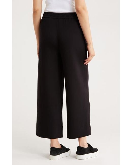 Caslon Black Scuba Wide Leg Pants