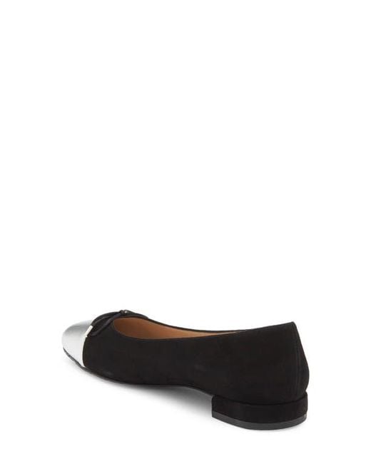 Stuart Weitzman Multicolor Sleek Cap Toe Bow Flat