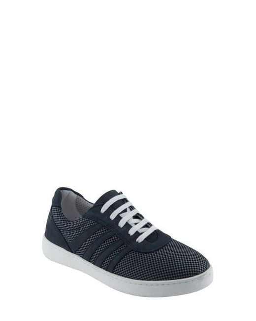 David Tate Blue Cascade Sneaker