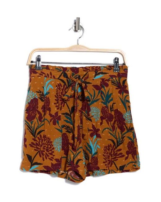 DR2 by Daniel Rainn Brown Paperbag Waist Shorts