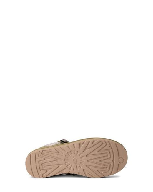 Ugg Multicolor Lo Lowmel Sneaker