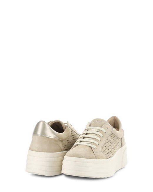 Bos. & Co. White Lotta Platform Sneaker