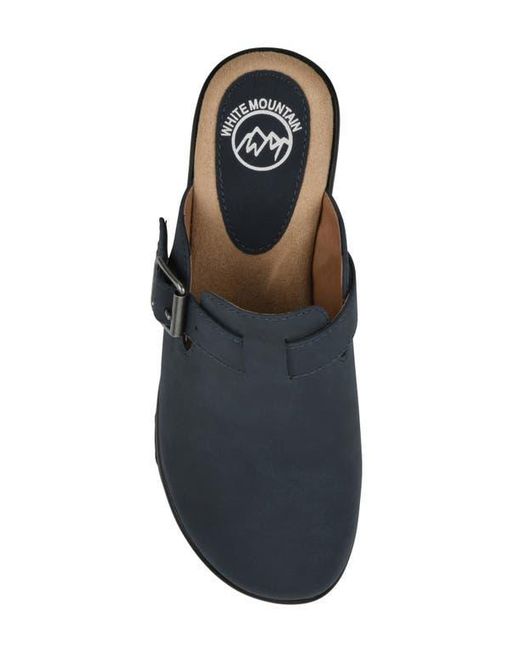 White Mountain Blue Viewed Mule