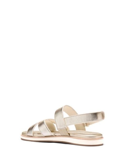 （New)Cole Haan ミラベル クリスクロスサンダル Women's Mirabelle CrissCross Sandals in Black | Cole Haan