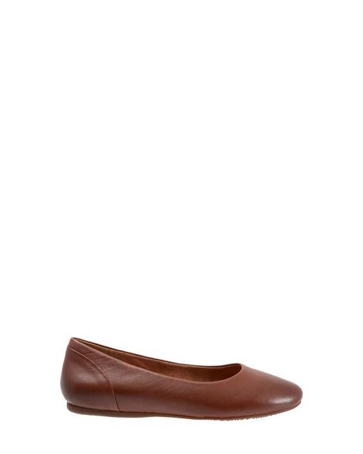 Softwalk® Brown Shiraz Flat