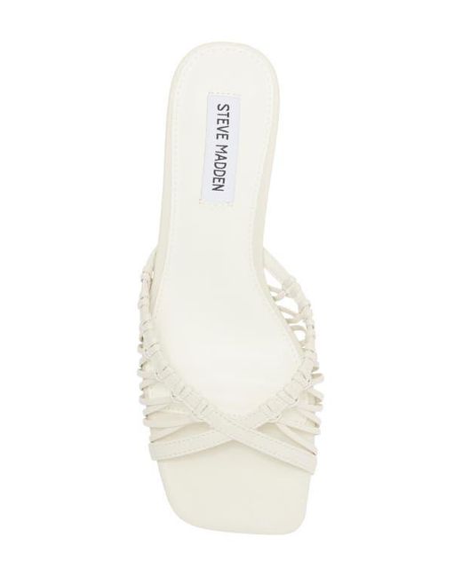 【レディース】Steve Madden Sharey Kitten Heel サンダル Steve Madden Sharey Kitten Heel Sandal (Women) | Nordstromrack