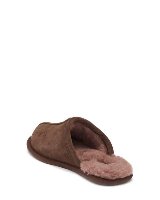 Ugg Brown Pearle Uggplush Scuff Slipper