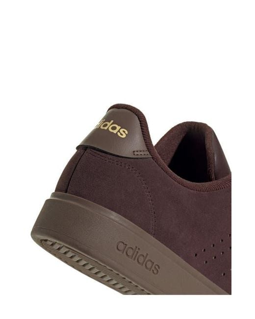 Adidas Brown Advantage 2.0 Low Top Sneaker for men