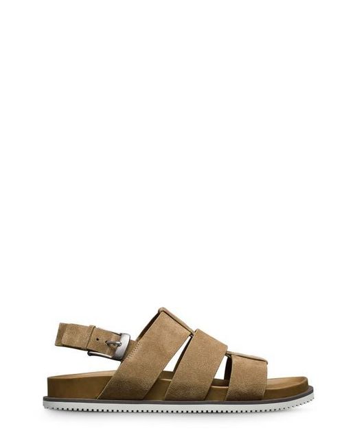 Allen Edmonds Damien Fisherman Sandal in Brown for Men | Lyst display picture 3