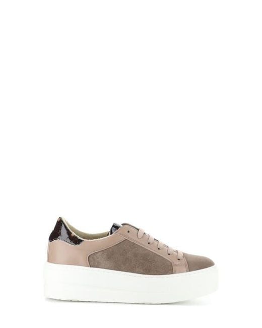 Bos. & Co. Multicolor Maude Platform Sneaker