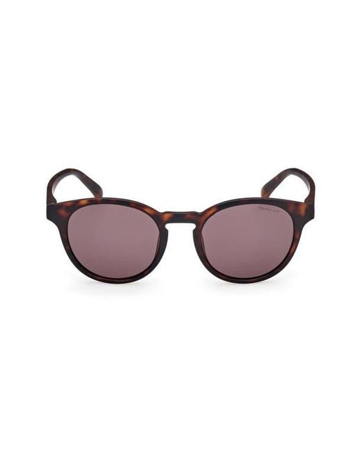 Gant Brown Oval Sunglasses for men