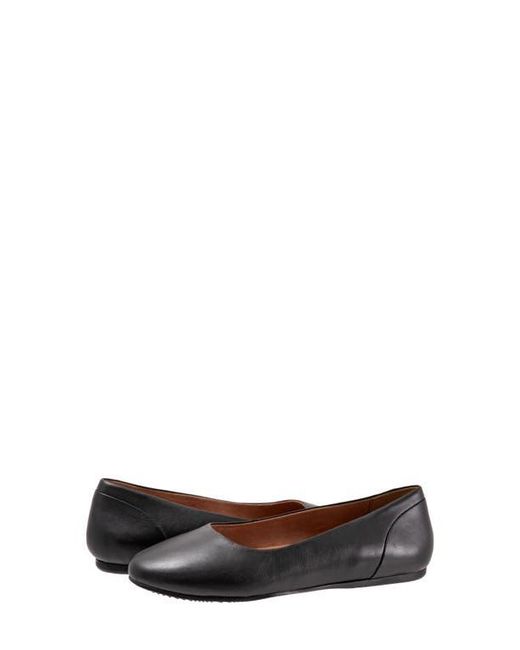 Softwalk® Brown Shiraz Flat