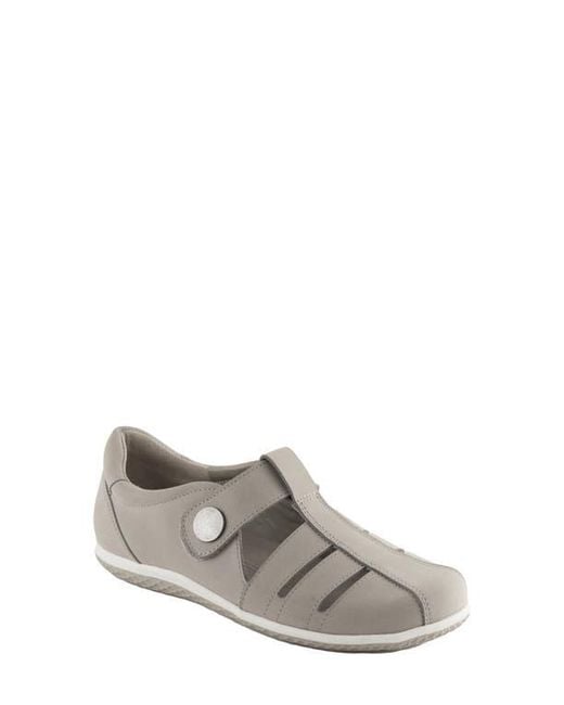 David Tate Gray Optic Flat