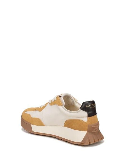 Sam Edelman Multicolor Langley Sneaker