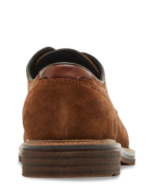 Steve Madden Brown Aeden Derby for men