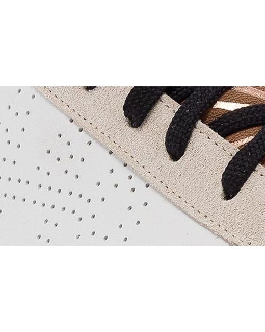 P448 Multicolor Jack Low Top Sneaker