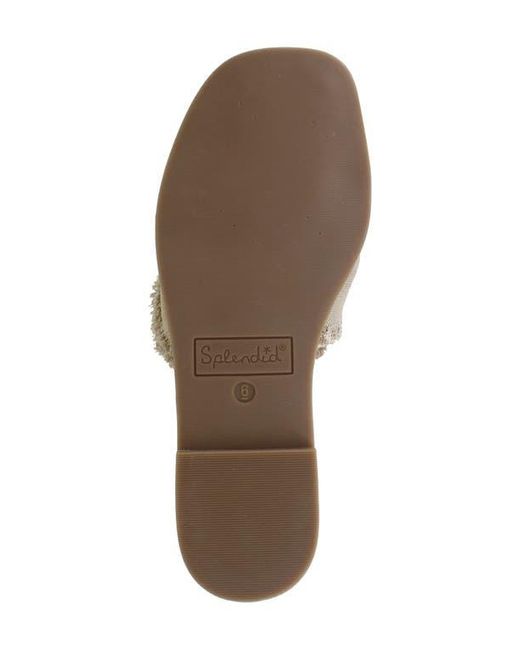Splendid Gray Brooklyn Slide Sandal