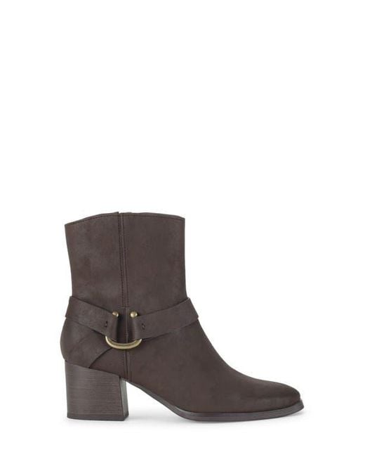 BareTraps Brown Tiana Block Heel Bootie