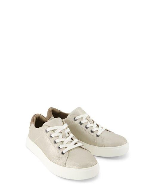 TOMS White Kameron Sneaker