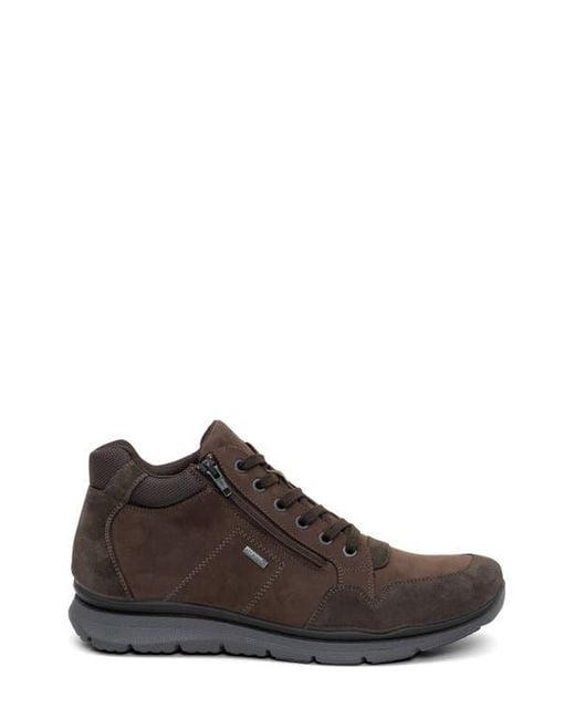 Ara Brown Braxton Waterproof Sneaker for men
