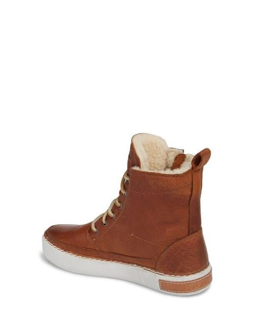 Blackstone Brown 'Cw96' Genuine Shearling Lined Sneaker Boot