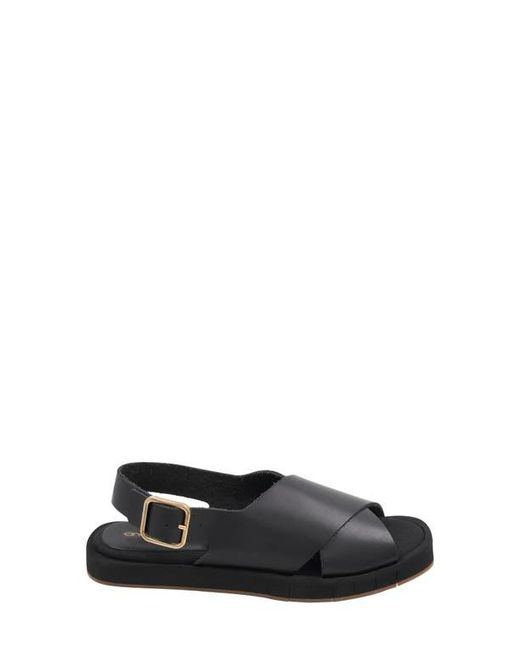 Andre Assous Black Pepper Slingback Sandal