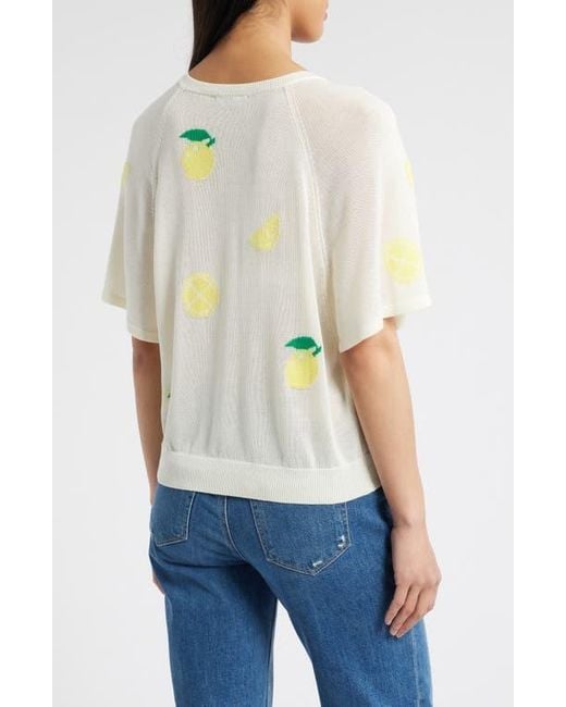 Wit & Wisdom Multicolor V-Neck Batwing Sweater