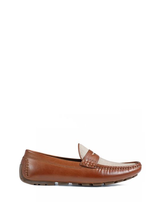 Tommy Hilfiger Brown Anikot Two-tone Driver Loafer for men