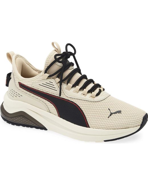 PUMA White Amplifier Knit Sneaker for men