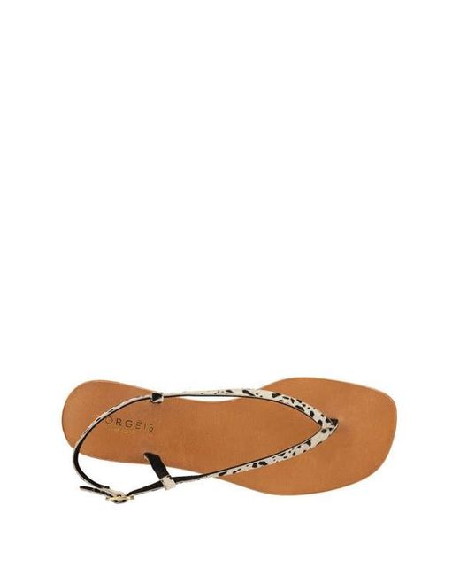 TORGEIS Black Diana Animal Print Thin Strap Sandal