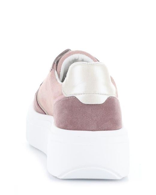 Bos. & Co. Pink Fulton Colorblock Platform Sneaker