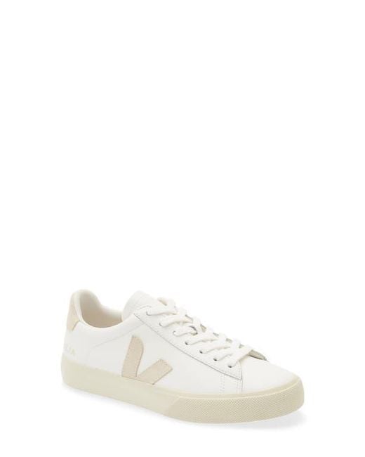 Veja White Campo Sneaker