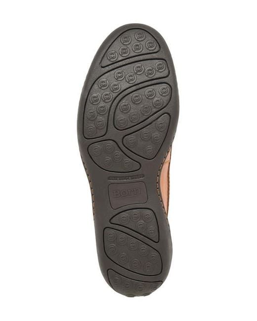 Børn Brown Scotty Loafer for men
